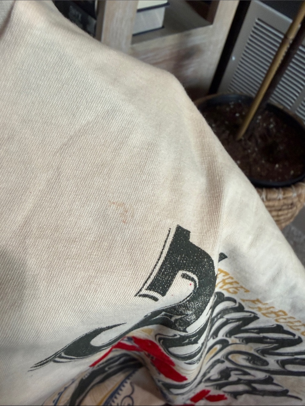 Daydreamer Beige Johnny Cash Nashville Graphic Tee with Red Roses - Picture 6 of 6